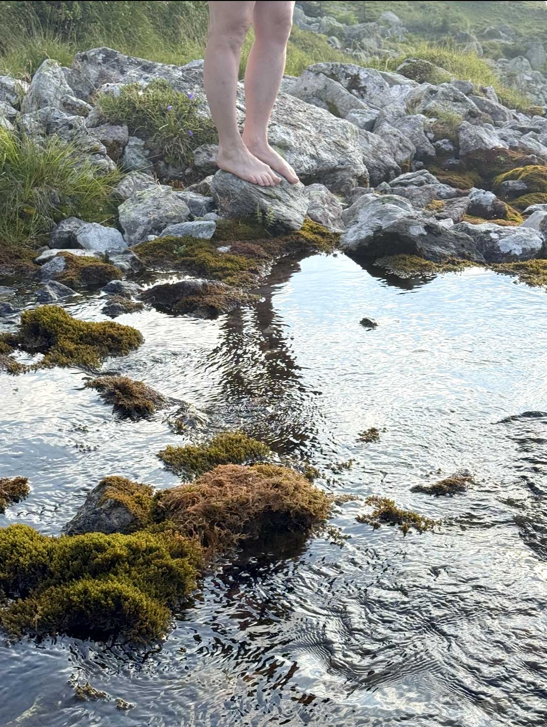 fusspflege uri altdorf